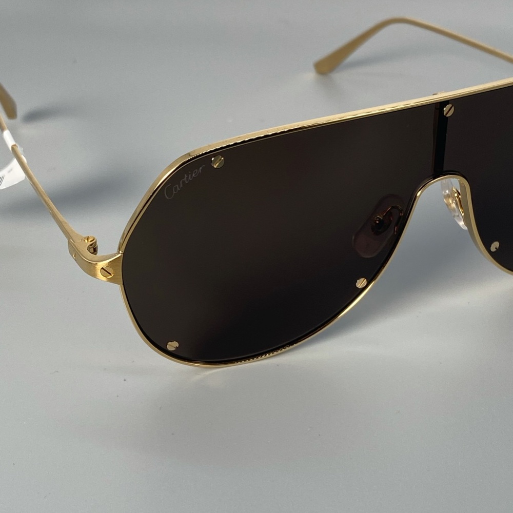 SANTOS DE CARTIER SUNGLASSES - Picture 12 of 16